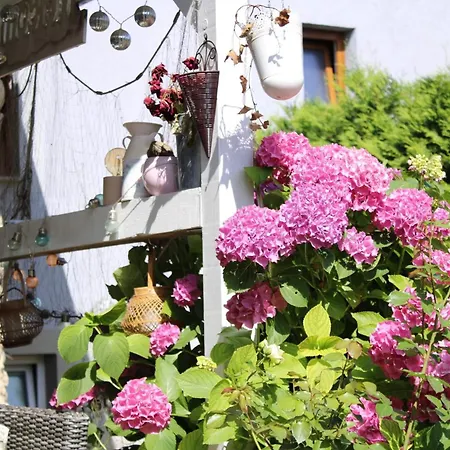 Κάμπινγκ Boutique Camp Thea Under The Walnut, Pitches For Your Own Tent, Outdoor Kitchen Mrse